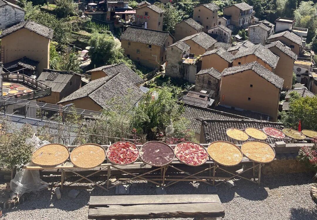 2110921676949491712.jpg 图片