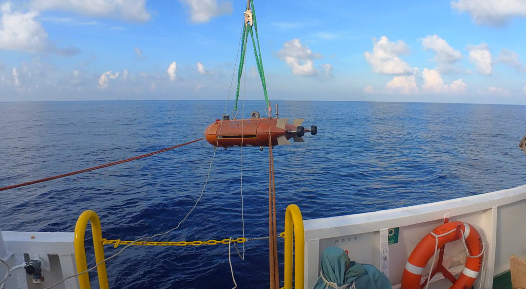 1935524476674355200.png 图片