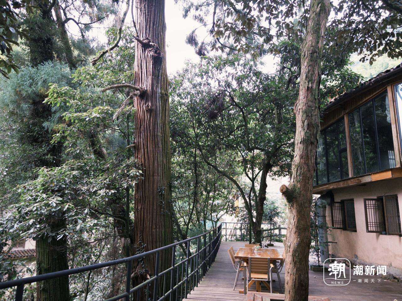 (0)fxn 2025-11-08 100211.997.JPG