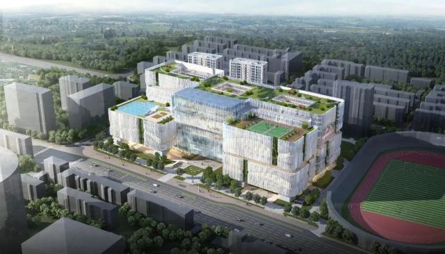 1998213559284117504.jpg 图片