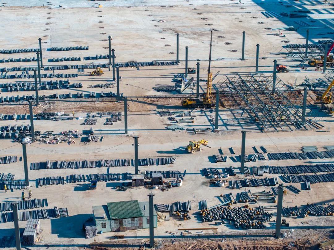 2007638500173545472.webp 图片