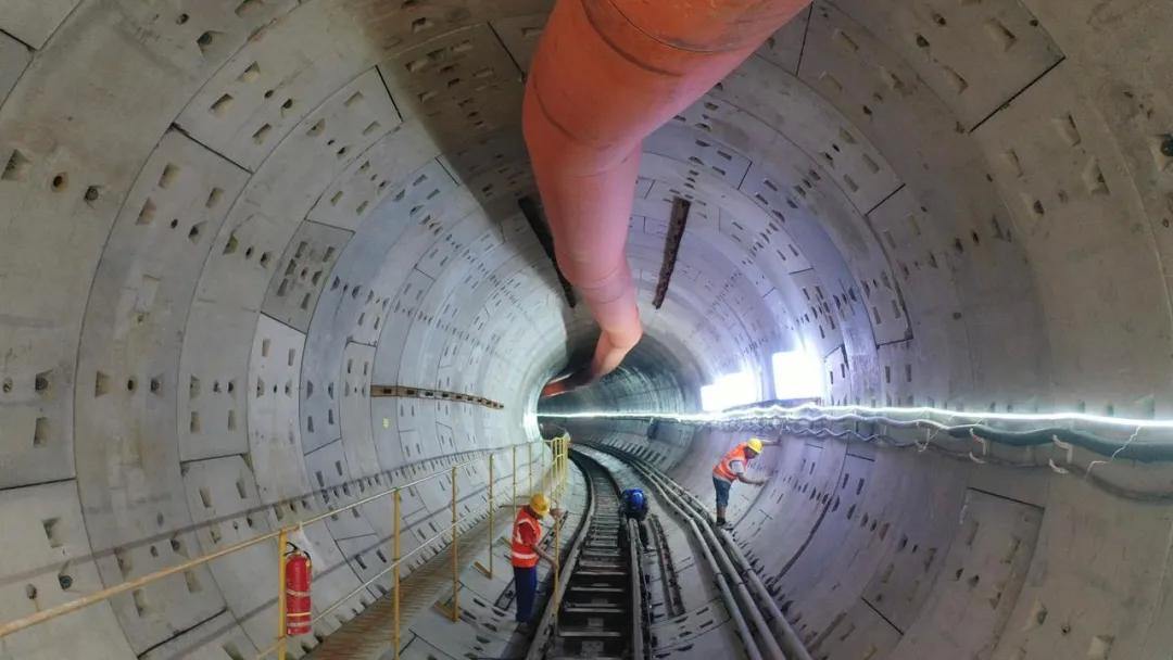 2007638499942858752.webp 图片