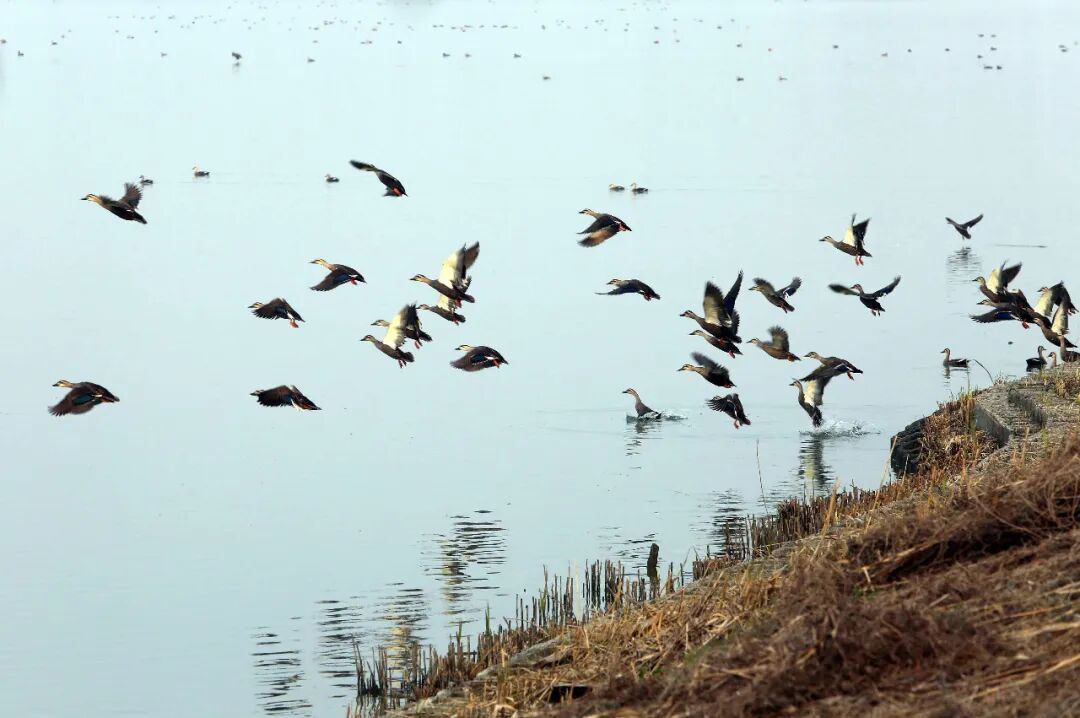 2056950078840446976.jpg