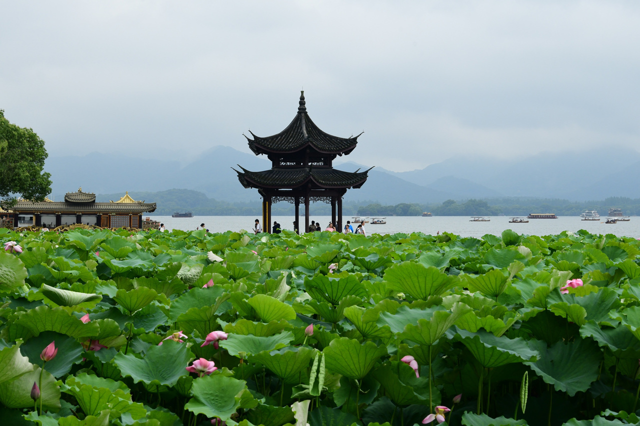 微信图片_20260630125038_27_208.jpg