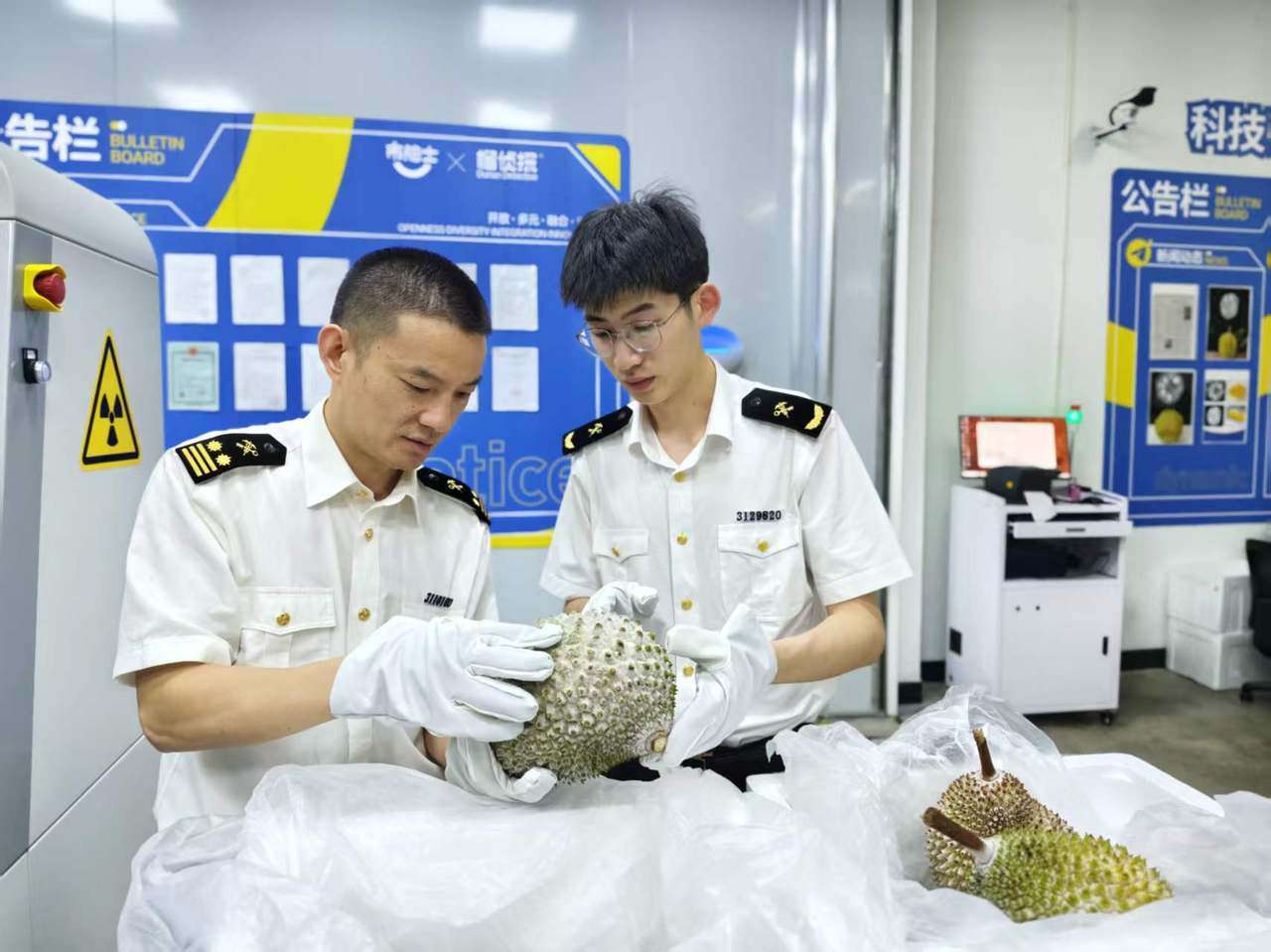 2099741942353956864.jpg 宁波海关关员在冷冻榴莲进口企业开展调研。 韦钧菲摄.jpg