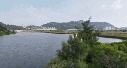 2111989022426337280.gif 图片