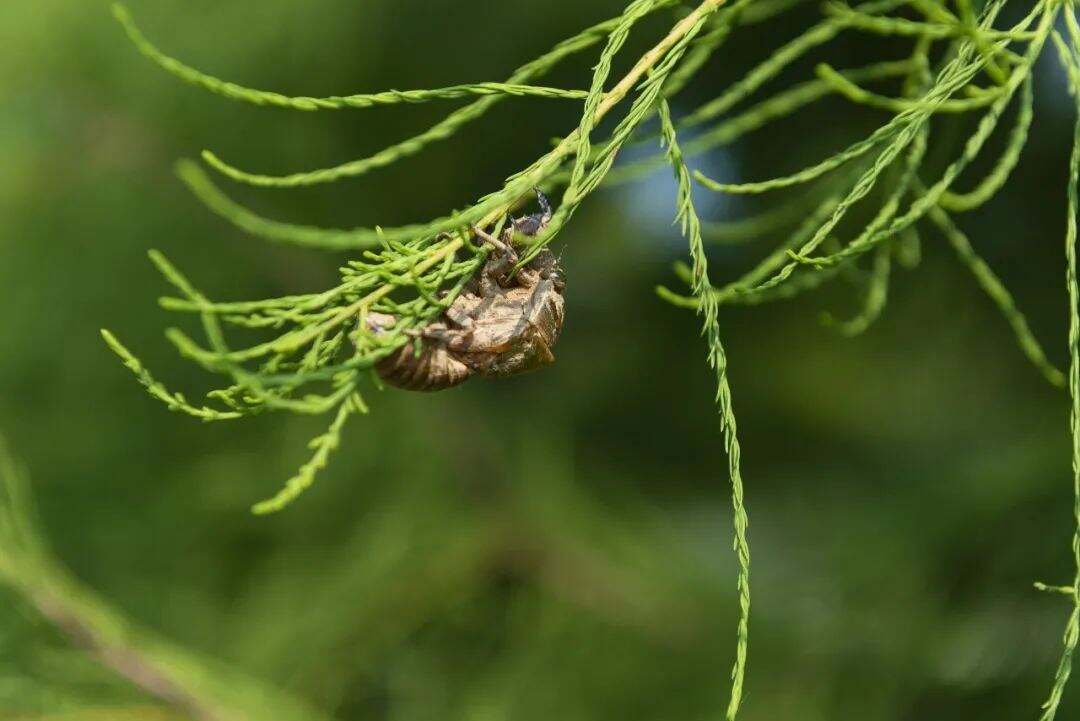 夏天到了？浙江本轮强降雨进入最强时段，暴雨天要注意……