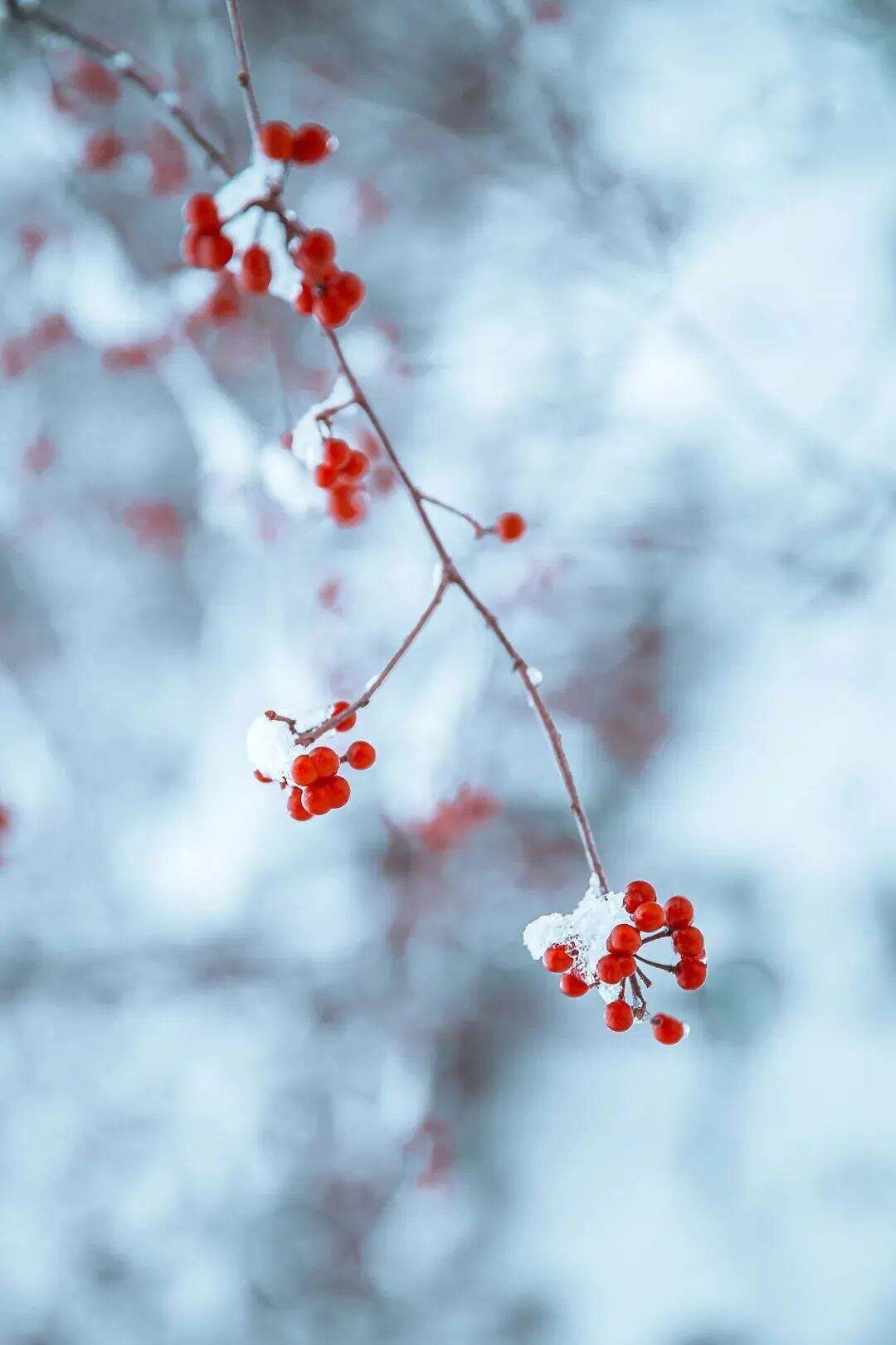 浙江本周还有两场雨，重点关注周末！今日小雪，宜做这些事